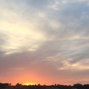 Meet your Posher, Kali